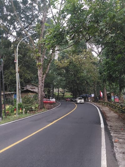 The image depicts a winding asphalt road through a densely forested area in Cugenang, Indonesia. The road curves sharply to the right in the midground and features a solid yellow center line and a solid white right-edge line.
On the left side of the road, a tall white street lamp pole with a curved arm stands next to a large tree with visible bark and epiphytes. Behind the pole and tree, several rustic structures with corrugated roofs are partially visible, integrated into the natural foliage. A red sedan is parked off the road to the left, partially obscured by trees. The immediate roadside on the left exhibits green and yellow markers or small plants.
On the right side of the road, a metal guardrail with yellow and black markings runs along the shoulder, bordered by dense green undergrowth and tall trees. Further along the curve on the right, additional structures or stalls are visible, adorned with red and white flags or banners, and multiple unreadable signs.
Multiple vehicles are present on the road in the mid-distance; a light-colored sedan (possibly white or silver) faces away from the viewer, followed by other dark-colored vehicles. No human figures are explicitly visible. The environment is heavily vegetated, with a dense tree canopy overhead, suggesting an overcast day or heavily shaded area. The overall scene conveys a rural or semi-rural thoroughfare.
