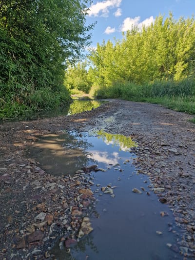 The image captures a low-angle view of a gravel path beside a lush green area with trees and grass. The path features a prominent puddle reflecting the sky, clouds, and trees. The sunlight suggests it is daytime, likely late afternoon or early morning given the long shadows cast by the trees onto the path. The weather appears to be clear with scattered clouds. The scene evokes a sense of nature and tranquility. The location is identified as Kashgar City, China, though no specific landmarks are visible. There is no visible text in the image.