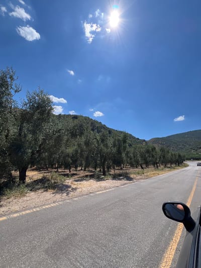 The image depicts a scenic view from a car traveling along a road lined with olive trees. The sun is bright and high in a clear blue sky with a few scattered white clouds. Rolling hills covered in vegetation form the background, with a winding road leading into the distance. A side-view mirror of the car is visible in the foreground, reflecting a portion of the sky and the interior of the car, including a person's hand. A white car is seen in the distance on the road. The environment appears to be rural, likely a countryside setting, with the presence of olive groves suggesting a Mediterranean landscape. While the image captures a general scene, there are no specific landmarks or features that definitively place it in Mattinata, Italy.
