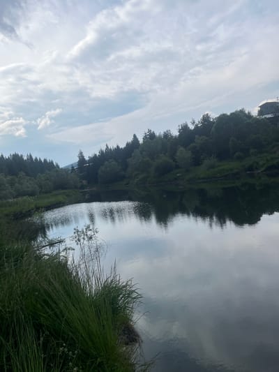 The image shows a reflection of a forest and sky in a body of water. The forest is dense with tall, dark green trees, some of which appear to be coniferous. The water is calm, creating a clear, albeit slightly rippled, reflection of the trees and the sky. The sky is partly cloudy with streaks of white clouds against a pale blue background. The overall scene suggests a natural setting, possibly a lake or a slow-moving river, in a temperate climate. The lighting indicates it is daytime, likely late afternoon or early morning, given the soft light and the shadows cast by the trees. The presence of tall grass and vegetation along the edge of the water adds to the naturalistic feel of the scene. There are no people or man-made objects visible, besides a hint of a building structure at the very top of the image, which is largely obscured by trees and the orientation of the photo. The reflection is a prominent feature, capturing the essence of the surrounding landscape.
