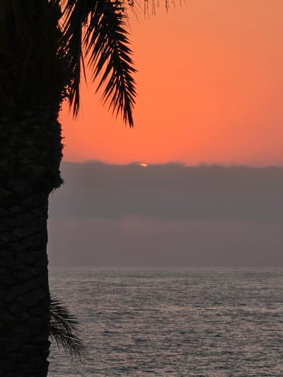 A silhouetted palm tree on the left side of the frame is positioned in front of an orange sky during sunset. The sun is partially obscured by a bank of dark clouds on the horizon, with a sliver of its orange glow visible. The ocean stretches across the bottom half of the image, reflecting the warm tones of the sky with small waves. The scene appears to be a coastal view in the Hlorakas Community, Cyprus, as indicated by the typical sunset light and the presence of a palm tree, common in Mediterranean coastal regions. There are no people or active interactions depicted in the image.