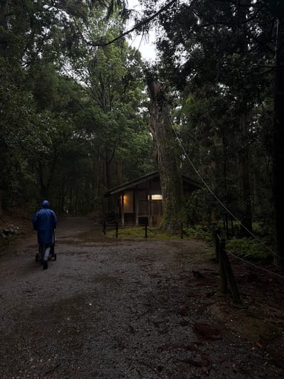 The image depicts a solitary individual walking on a damp gravel path through a dense, ancient forest in Nara, Japan, likely within the Kasugayama Primeval Forest or near Kasuga Taisha Shrine. The person, seen from behind, wears a blue hooded rain jacket and light pants, pushing a dark two-wheeled cart. To the right of the path, a single-story traditional Japanese building with a dark roof and light-colored walls is nestled at the base of a massive, moss-covered tree. Warm yellow light emanates from a window or opening on the building's facade. A simple rope fence lines the path on the right, and a diagonal white cable extends from the mid-right foreground into the upper left background. The forest is characterized by tall, dark-trunked trees with dense green foliage, creating a dim, overcast ambiance with glimpses of a pale sky through the canopy. The ground is wet, featuring puddles, scattered leaves, moss, and ferns.
