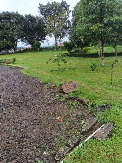 The image displays an outdoor scene in Tapaiteng Uesa, Bhutan, characterized by a gravel path bordering a grassy area with scattered trees. The foreground on the left features a dark, wet-appearing gravel path composed of small, dark, irregular stones. Along the right edge of this path, defining its boundary with the grass, are several broken and displaced concrete or stone border sections. One large, rectangular block, dark brown or grey, lies at an angle in the grass directly adjacent to the path. Below it, a line of smaller, broken dark grey blocks and a segment of a white pipe or conduit are visible, partially obscured by green grass and weeds.
The midground is dominated by an expanse of mown green grass. A small, broad-leafed tree with a slender trunk stands centrally within this grassy area, accompanied by a smaller bushy plant to its right. Numerous other trees, varying in size and foliage density, are distributed across the grass. These include several mature trees with dense, dark green canopies on the left side of the midground, and more slender trees with lighter bark and lighter green leaves towards the right. A low, dark green hedge or line of shrubs forms a horizontal demarcation in the far midground.
In the background, behind the trees, indistinct structures or buildings with light-colored facades are partially visible, suggesting an adjacent developed area. The sky is overcast and light grey. No individuals, specific actions, or interactions are depicted within the scene.