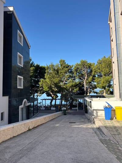 This image depicts a view looking down a paved walkway toward the Adriatic Sea, with buildings and trees flanking the path. On the left is a modern building with dark, reflective facade and white-framed windows. A low, light-colored stone wall runs along the edge of the walkway in front of this building. On the right, a lighter-colored building with glass features and a brown downspout is visible. Further down the walkway, a row of mature pine trees with green foliage separates the buildings from the sea. Beyond the trees, a glimpse of the blue sea and a structure with outdoor seating can be seen. Two large plastic bins, one blue and one yellow, are situated near the building on the right. The sky is a clear, bright blue, indicating a sunny day. The scene appears to be in a coastal urban area, likely Makarska, Croatia, given the architecture and Mediterranean vegetation. There are no people visible in the image.