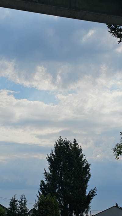 A medium shot captures a tall, dark green evergreen tree against a cloudy sky. The tree is positioned in the lower center of the frame, its branches dense and pointed. Above and behind the tree, the sky is a mix of blue and white clouds, with some appearing layered and wispy. The top edge of the image is partially obscured by a dark, horizontal structure, possibly a roof overhang or a balcony. In the lower left and right corners, the tops of buildings and other trees are visible, suggesting an urban or suburban environment. The overall impression is of a natural element set against a developing or developed backdrop, under a dynamic sky. No people or specific actions are depicted. The scene is likely situated in Vöhringen, Germany.