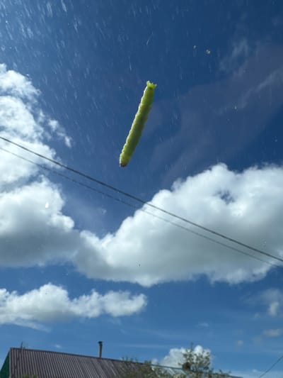 A green caterpillar is visible against a blue sky backdrop with fluffy white clouds. The caterpillar is elongated and positioned in the upper left portion of the frame. The background suggests a clear, sunny day. A wire is visible, stretching across the sky behind the caterpillar. There is a house roof with a chimney in the right frame. This image does not provide information about Slobodka, Russia.