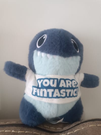 A plush toy shark, primarily dark blue with a light blue belly and fins, is the subject of this close-up, eye-level photograph. The shark is wearing a white t-shirt with blue lettering that reads "YOU ARE FINTASTIC!". Its wide, open mouth reveals rows of white felt teeth, and its black button eyes with white highlights give it a friendly expression. The shark is positioned in the center of the frame, with its arms extended outwards, as if waving or greeting.
The background is a plain, light-colored wall, providing a neutral setting that emphasizes the toy. The plush shark is resting on a textured surface, possibly upholstery, with visible stitching that appears to be in a light cream color. The lighting in the image is soft and even, suggesting it was taken indoors during the day. There are no strong shadows, and the overall mood is cheerful and playful, attributed to the shark's design and the message on its shirt.
The photograph was taken in Mississauga, Canada. The image does not convey any specific time of day or weather conditions, as it is an indoor shot. The focus is solely on the plush toy and its message.
