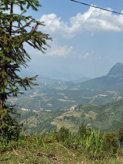 The image shows a mountainous landscape in the Mậu Duệ Commune, Vietnam. In the foreground is the foliage of a coniferous tree on the left and lush green vegetation on the right, marking the edge of a precipice. Beyond, the terraced fields and dwellings nestle in the folds of the green-covered mountains. The background is dominated by hazy mountain peaks under a sky with scattered clouds. A powerline is visible in the upper left corner. The photo is rotated clockwise.