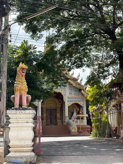The image depicts a Thai temple entrance, possibly in Ban Ko Klang, Thailand, framed by lush greenery and overhead power lines. The temple building, viewed from the side, features intricate golden and white decorative patterns on its roof and facade. Two guardian statues, one a winged mythical creature and another a lion-like figure, stand guard at the entrance. The lion-like statue in the foreground is rendered in pink and gold, with ornate detailing. The scene is bathed in natural light, suggesting it's daytime, with some shadows indicating the sun's position. The surrounding vegetation, including large trees and palm fronds, creates a tropical atmosphere. The power lines in the foreground, along with the concrete path on the right, suggest an urban or semi-urban setting adjacent to the temple. A blue label with some text is visible on the right side of the image. The overall impression is one of cultural richness and a tranquil, sacred space.
