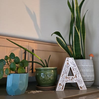 The image depicts a shelf with several potted plants and a decorative letter. The shelf is made of light-colored wood, and behind it, a light-colored textured wall is visible. A shadow from a plant is cast on the wall. On the left, a teal geometric pot holds a Pilea plant with round, coin-like leaves. To its right, a green ceramic pot with a raised circular pattern contains a snake plant. Further to the right, a tall snake plant is in a grey and white patterned ceramic pot. A small, orange mushroom decoration is placed in this pot. In the foreground, a white wooden letter "A" with a cutout floral and bird design stands on the shelf. The objects are arranged in a domestic indoor setting, possibly a home or office in Beaverton, Oregon, United States.