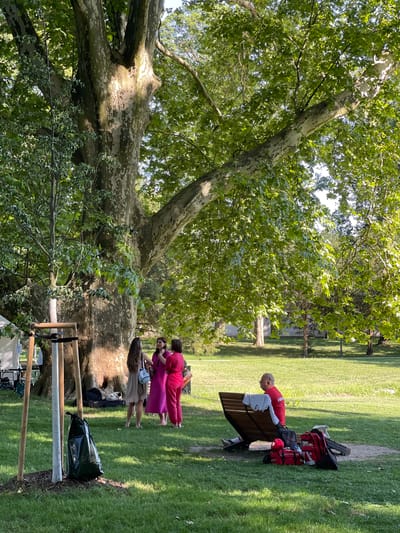 In Stupava, Slovakia, under the shade of a large, mature tree, three women dressed in casual attire stand and converse. One woman wears a light-colored dress, another a vibrant pink dress, and the third, a bright pink jumpsuit. In the background, a man in a red shirt sits on a wooden bench, with several bags and backpacks on the ground beside him. The scene is set in a grassy park with lush green trees and sunlight filtering through the leaves.