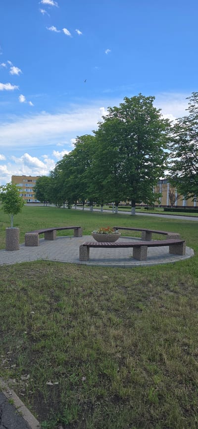 The image depicts an outdoor scene in Bryansk, Russia, featuring a public seating area with benches arranged in a circular pattern around a planter filled with flowers. The benches are made of dark wood with concrete block legs. Adjacent to the seating area is a concrete cylindrical planter with a small tree. The ground is paved with interlocking grey bricks within the circle and surrounded by a grassy lawn. In the background, a row of mature trees with dense green foliage lines a paved walkway. Beyond the trees, a yellow multi-story building is visible, characteristic of urban residential or administrative structures. The sky is blue with scattered white clouds, and a bird is in flight. The overall impression is one of a well-maintained urban green space.