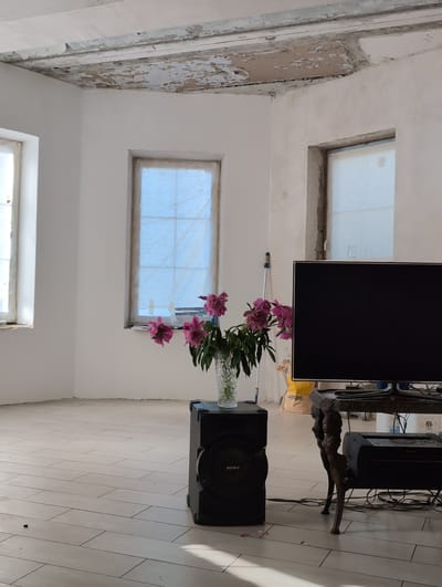 The image depicts an interior scene within a room under renovation. The room is sparsely furnished and appears unfinished, with exposed ceiling elements showing peeling paint and plaster. The walls are painted white, and there are two windows covered with a light-colored fabric or plastic sheeting.
In the foreground, a vase of pink peonies sits on top of a black speaker. To the right of the speaker, a flat-screen television is placed on an ornate, dark-colored table. Beneath the television, a black audio system with a CD player is visible, along with a tangle of wires. A broom with a blue handle leans against the wall near the window on the right. The floor is tiled with light-colored rectangular tiles. In the background, a yellow bag, possibly containing construction materials, is partially visible.
The scene is likely located in an apartment or house, given the domestic elements like the television and audio system. The overall impression is one of a living space undergoing renovation or preparation for use. The presence of construction materials and unfinished elements suggests that the space is not yet fully functional. The image does not provide specific indicators of the city of Вышки, Russia, beyond the context provided in the prompt.