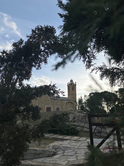 The image captures a stone church or monastery in Agios Dometios, Cyprus, framed by the dark, silhouetted branches of evergreen trees in the foreground. The perspective looks upwards, with the dense foliage creating an irregular, natural arch that draws attention to the central building.

The main subject is a light-colored stone building, featuring a prominent bell tower or spire on its left side. The tower is designed with arched openings and a decorative, possibly crenellated, top. The main body of the building displays at least two dark, rectangular windows and a darker, possibly red, door or entrance. The structure appears to be situated on or against a rocky hillside, which is visible to its right and behind parts of it. To the right of the building, a paved pathway or stone-laid ground, light in color and textured, leads into the scene. Further to the right and slightly elevated, a dark metal gate or structural element is partially visible.

The background sky is bright, with areas of clear blue and scattered white clouds, indicating daytime. The trees in the immediate foreground are cast in shadow, emphasizing their intricate shapes, while the church building is more evenly illuminated. There are no people visible, and no discernible text anywhere in the image. The scene evokes a sense of historical quietude and natural beauty.