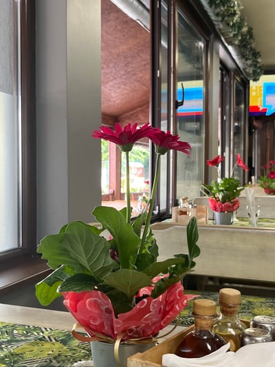 This image depicts an indoor scene, likely a restaurant or cafe, with a prominent floral arrangement in the foreground. The floral arrangement consists of two vibrant pink gerbera daisies with large green leaves, potted in a decorative red wrapper and a grey pot. The setting appears to be a table covered with a tropical-patterned placemat. In the background, large windows offer a view of what seems to be an outdoor seating area with wooden beams and foliage. The windows reflect colorful displays, suggesting the presence of televisions or screens. Scattered on the table are small bottles, possibly for condiments like oil and vinegar, and salt and pepper shakers. The overall ambiance suggests a casual dining establishment.
