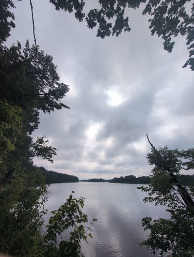 The image depicts a wide, calm lake under a cloudy sky, with the foreground framed by dense foliage and trees. The water surface reflects the muted gray of the overcast sky, with subtle ripples indicating minimal wind. On the far side of the lake, a dark line of trees forms the horizon, suggesting a forested shoreline. The sky is dominated by heavy clouds, with a brighter, diffused patch of light suggesting the sun is attempting to break through. The trees in the foreground are lush and green, with some branches extending into the frame from the top and sides, creating a natural, enclosed viewpoint. The overall impression is one of a serene, natural landscape, possibly a park or a natural reserve. The location is identified as the city of Perliavka, Ukraine.