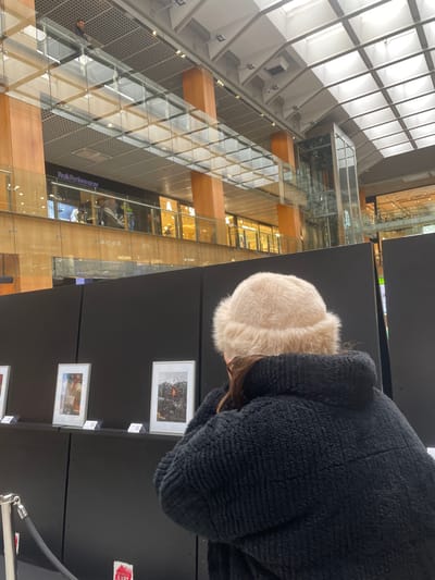 The photo is taken inside a multistory building in the city of Les Escaldes, Andorra. The foreground is dominated by a person wearing a fur hat and a black coat, standing near a display of framed artworks hanging on a black wall. In the background, a large building with a glass facade is visible, revealing multiple floors with shops, offices, or living spaces. The ceiling of the building features a geometric pattern of white panels and structural supports. A glass enclosed elevator is also visible within the structure.