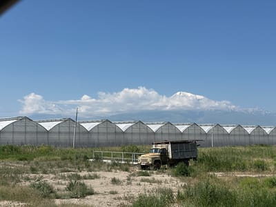 In the city of Shahumian, Armenia, a long row of white greenhouses stretches across the landscape under a clear blue sky. The greenhouses have a distinctive arched roof structure. In the foreground, a weathered, light-colored truck with a wooden cargo bed sits parked in a grassy, undeveloped area. Behind the truck, tall green grass and dry brush are visible. In the distance, snow-capped mountains rise above the horizon, partially obscured by scattered white clouds. The scene appears to be a rural or agricultural setting.