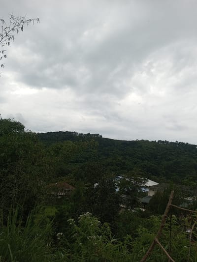 The image displays a panoramic view of a densely vegetated, hilly landscape under a heavily overcast, grey sky. The scene is located in Hasanparthy mandal, India. The upper half of the frame is filled with a uniform, light grey cloud cover. The lower half features a sloping terrain covered by extensive, dark green foliage, indicating a forest or dense growth of trees and bushes. In the immediate foreground, various green plants, tall grasses, and shrubs with small white flowers are visible, along with a bare, dark tree branch extending from the lower right. Several man-made structures are partially observable amidst the trees in the midground: one building with a reddish-brown tiled roof and light-colored walls is situated on the left side, and a larger building featuring a light blue roof and white walls is prominent on the right side. Another structure with a darker roof is faintly visible adjacent to the blue-roofed building. No individuals or discernible actions are present within the frame. The environment is characterized by its natural, verdant features and minimal visible human activity, under subdued daylight conditions.