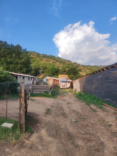 The image depicts a rural farm scene in Spathades, Greece, under a clear blue sky with scattered white clouds. The time of day appears to be late afternoon, judging by the warm lighting. The foreground features a dirt path leading towards a cluster of farm buildings. To the left, a partially constructed building with a corrugated metal roof is visible, next to a fenced area with wire mesh. A wooden fence post stands prominently in the foreground.
Further down the path, a white truck is parked, loaded with bales of hay. The truck has red and white detailing and some visible text on its side, which reads "ΜΑΚΡΗΣ". Adjacent to the truck is another farm building with a rustic appearance, featuring wooden elements and possibly a tin roof. To the right of the path, a long, dark-colored structure with a corrugated roof stretches into the distance. The building appears to be covered with a dark material, possibly for protection or insulation.
The background is dominated by a lush green hillside covered in trees and vegetation, characteristic of a Mediterranean landscape. The overall impression is one of a working farm, possibly engaged in agricultural activities given the presence of hay. The scene evokes a sense of quietude and rural life. There are no people visible in the image.