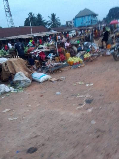 This image captures a bustling outdoor market scene in Orlu, Nigeria, under what appears to be overcast conditions, giving the light a soft, diffused quality. The photograph is somewhat blurry, especially in the foreground and background, suggesting movement or an out-of-focus shot.
The scene is dominated by numerous market stalls lining a wide, unpaved dirt path. These stalls feature makeshift awnings and are crowded with people. Many individuals are visible, though their faces and specific actions are largely indistinct due to the blur. Some appear to be vendors arranging their goods, while others are shoppers. One person in the left-midground wears a dark blue shirt with the number "2" clearly visible on the back.
Various goods are displayed for sale, including fresh produce like green leafy vegetables and other items, some placed in yellow and red buckets on the ground. Piles of clothes and other miscellaneous items are also scattered around the stalls. Large sacks and bags, including a white sack with faint, illegible text, are visible on the ground in the foreground, alongside scattered debris and leaves.
In the background, beyond the market stalls, stands a prominent light blue multi-story building. Other structures and what appears to be a white van are also visible amidst the crowd. On the far left, a tall metal communication tower rises above the market, and several palm trees dot the horizon, indicating a tropical or sub-tropical setting. To the far right, part of a motorcycle is visible. The ground is rough, unpaved earth, characteristic of an informal open-air market. The overall impression is one of a vibrant, active community hub.