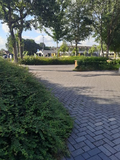 The image depicts an outdoor scene, likely a street or walkway in Bassum, Germany. A brick-patterned pavement runs diagonally across the frame, casting long shadows from unseen trees. On the left side of the pavement, a dense green hedge forms a boundary. Beyond the hedge, trees with full green foliage provide shade. In the background, modern buildings with large windows and some yellow architectural elements are visible. A tall streetlamp with a bird perched on top stands out against a partly cloudy sky. The overall impression is that of a well-maintained urban or suburban environment on a sunny day. There are no people or explicit activities visible, suggesting a quiet, everyday setting. The time of day appears to be afternoon, given the length and angle of the shadows. No text is legible in the image.