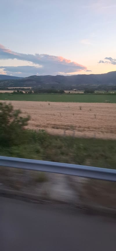 The image depicts a rural landscape with rolling hills in the background under a pale sky with scattered clouds tinged with pink and orange. In the middle ground, there are fields of golden-brown crops, possibly wheat, adjacent to a strip of vibrant green vegetation. A blurry dark green tree is visible in the foreground on the left. A metal guardrail runs horizontally across the lower part of the image, suggesting the photo was taken from a moving vehicle on a road or highway. The ground in the immediate foreground is dark and out of focus. The overall scene conveys a sense of twilight or early morning in a natural, undeveloped area. The location is Mursalevo, Bulgaria.