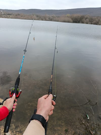 Two people are fishing at a lake on an overcast day. One person, wearing a red sleeve, holds a blue and black fishing rod. The other, wearing a tan sleeve and a black watch, holds a black and orange fishing rod. The lake is surrounded by trees, with mountains in the background. There are sticks and debris in the shallow water near the shoreline. The location is possibly in the Орлиновский округ, Ukraine, based on geographic features.