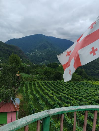 A Georgian flag waves in the foreground, obscuring the top right portion of the image. The flag is white with a large red cross in the center and four smaller red crosses in each quadrant. Behind the flag, a lush green vineyard stretches across a hillside, with neat rows of grapevines. In the middle ground, a small, brightly colored shed with a red roof and pink doors sits nestled among trees. Further in the background, rolling green hills covered in dense forest rise to meet a cloudy sky. Small villages with white houses are scattered across the slopes of the distant mountains. The scene appears to be located in a rural area of Pirveli Maisi, Georgia, given the presence of the Georgian flag and the mountainous, vineyard-filled landscape.