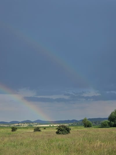 The image shows a landscape with a rainbow in the sky, possibly in the vicinity of Nikolaevo, Bulgaria. The foreground consists of a grassy field with scattered shrubs and trees. In the background, there are hills or mountains visible, partially obscured by clouds. A double rainbow is apparent in the sky, with its colors visible in the left part of the image and going towards the landscape on the right.