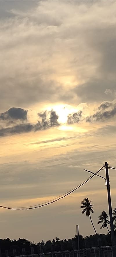 The image depicts a cloudy sky with the sun partially obscured by clouds, casting a warm, diffused light. The lower portion of the image shows a silhouetted treeline with several palm trees. There are power lines strung across the frame, supported by a utility pole on the right side. The scene appears to be outdoors, possibly in an area with tropical vegetation, consistent with a location in Ranto, Indonesia. The overall atmosphere is serene, with the soft light suggesting either sunrise or sunset.