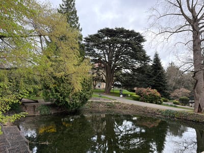 The image depicts a park scene centered on a still body of water, likely a pond, under an overcast sky. The location is Priory Park in Malvern, Malvern Hills, United Kingdom.

In the foreground, the dark, reflective water surface occupies the lower half of the frame, showing indistinct reflections of the sky and surrounding trees. Scattered debris is visible on the water. In the bottom-left quadrant, a grid-like metal structure is partially submerged near the water's edge.

The pond is bordered by a sloped bank retained by stonework. On the left side of the bank, a stone staircase with two visible steps descends towards the water. Above the bank, a curved paved pathway, appearing dark in color, runs from left to right across the midground. Adjacent to this pathway, various landscaped plants include manicured green shrubs and bushes with pinkish-red blooms, consistent with rhododendrons or azaleas. Several information signs are positioned along the pathway.

Dominating the background are numerous mature trees. A large, spreading evergreen tree with dense, dark foliage stands prominently in the center-left. To its immediate right, a tall, slender evergreen conifer stands. Further right, a tall, bare deciduous tree with thick branches is visible. On the far left, another tall deciduous tree displays light green catkins or early spring foliage. Portions of a light-colored building with a reddish roof are visible behind the large central evergreen tree, suggesting adjacent structures to the park. No individuals are present within the scene. The overall lighting is soft and diffused, indicating an overcast condition.