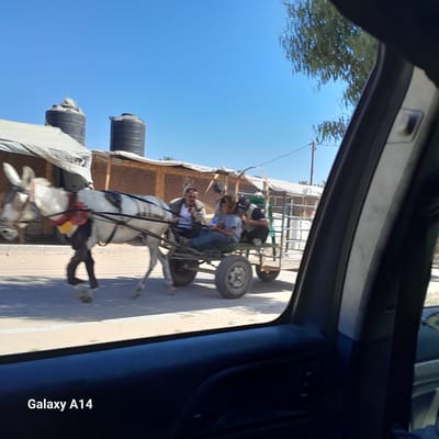 The image depicts a scene in Deir el-Balah, Palestinian Territories, on a clear, sunny day. In the foreground, the interior of a vehicle is visible, with the edge of a car door and window framing the external view. The exterior scene features a white donkey pulling a cart filled with three people. The donkey is adorned with a red and yellow halter. The cart is a metal-framed structure with two wheels.

The individuals in the cart include a man in a white shirt and a light-colored jacket, holding a mobile phone. Next to him is a young person wearing a blue shirt. To the right, another individual is visible, wearing a dark cap and shirt. Behind the cart, there are some tents or shelters with white tarpaulins. In the background, two large, dark water tanks are prominent against the bright blue sky. A tree with green foliage is also visible on the right side of the image, and its reflection can be seen in the car window. The ground appears to be a paved road or pathway. A power pole with wires is also present in the background. The overall impression is a snapshot of daily life and transportation in the area.