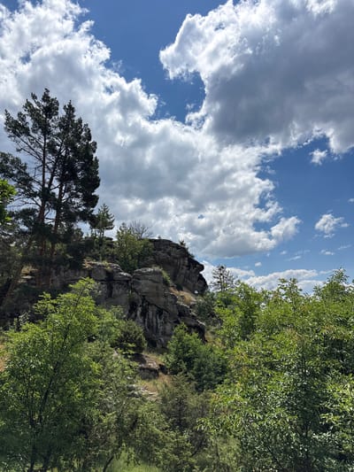 The image depicts a natural landscape featuring rocky outcrops and lush green vegetation under a partly cloudy blue sky. Tall pine trees are prominent, with their dark green needles contrasting against the lighter green foliage of deciduous trees and shrubs. The rocks appear weathered and textured, suggesting a natural formation. The overall environment is serene and appears to be a natural park or wilderness area. There are no people or man-made structures visible, indicating a focus on the natural scenery. The scene is likely located in a mountainous or hilly region, consistent with the terrain shown. The presence of a clear blue sky with scattered white clouds suggests fair weather conditions. The image provides a sense of depth, with the foreground showing dense foliage and the background revealing the rocky formations and trees.