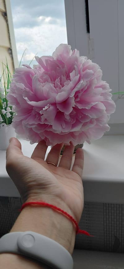A hand with a red string bracelet and a ring is held up towards a large, fluffy pink peony flower. In the background, a window shows a cloudy sky, and a white sill is visible. To the left, part of a white vase with greenery and what appears to be lily of the valley flowers is visible. The scene is indoors, near a window.