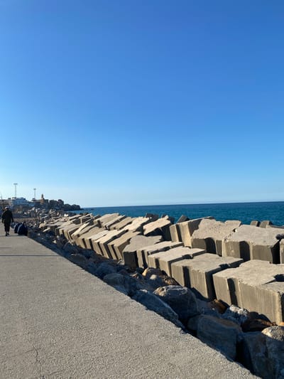 A photo taken at the city of Beau Fraisier, Algeria, shows a sea defense wall on the right. The wall is made of large, interlocking concrete blocks and natural rock. A concrete pavement runs adjacent to the wall. A narrow strip of sea is visible on the horizon, topped by a blue sky. In the bottom left, there is a street-scene with people and buildings. There are 2 individuals in the lower-right corner.