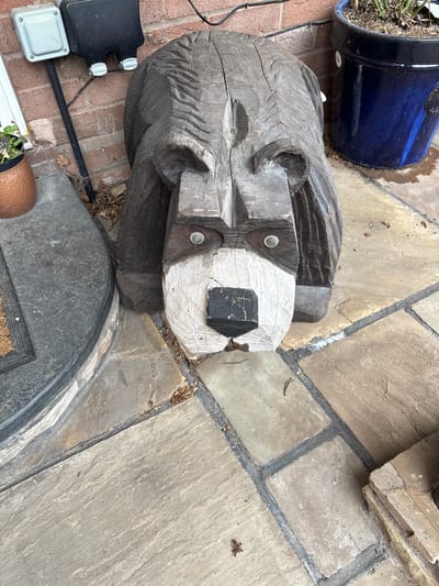 The image captures an outdoor scene, likely a garden or patio area in Minsterley, United Kingdom, featuring a large, weathered wooden carving alongside various other outdoor objects and paving.
The central subject is a substantial wooden carving, resembling a bear's head or a stylized animal, positioned on its side on the ground. It exhibits a deeply textured and aged appearance with visible wood grain and carving marks. The snout section is lighter in color, possibly painted or naturally lighter wood, contrasting with the darker body. Two clear, circular inserts, resembling eyes, are prominent near the snout, which also has a distinct black, possibly painted, nose area.
Around the wooden carving, several other items are visible. To its left, resting on a red brick paved surface, are two electrical boxes: a black unit with two white adjustable knobs on top and a smaller grey box with a bolted lid, connected by a black cable. Further left, a blue ceramic or plastic plant pot, containing dried plant material, is partially visible. The ground transitions to irregular light brown and grey flagstones with dark grout lines on the right side of the image. A small copper-colored plant pot with a green plant is partly visible at the bottom right, and a dark grey, semicircular mat or object lies partly beneath the wooden carving.
The scene is lit by natural daylight, suggesting it is daytime. The lighting appears diffused, without harsh shadows, which might indicate an overcast sky or a shaded location. No discernible human activity is taking place. The overall impression is that of a decorative and functional outdoor space. No visible text is legible on any of the objects.