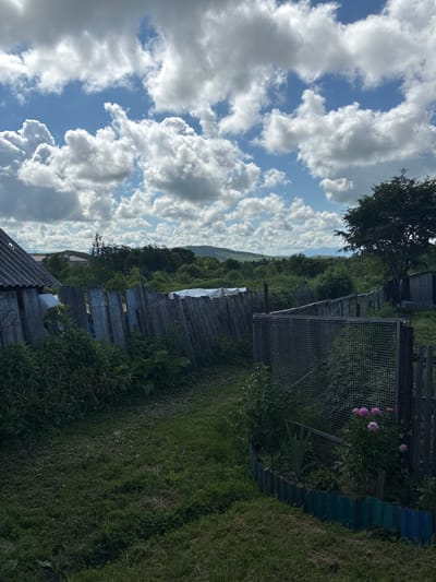 The image depicts a rustic yard scene in the vicinity of Gornye Kljuchi, Russia. In the foreground, a weathered wooden fence made of vertical planks stretches across the frame, partially covered with white tarpaulin in places. To the left, a portion of a gray, corrugated roofed structure is visible. The yard itself is covered in green grass with some patches of cut grass. A secondary fence, constructed with wire mesh and wooden posts, runs along the right side of the yard. Within this fenced area, there is a small garden with several plants, including a bush with pink flowers. Beyond the yard, a dense expanse of green vegetation and trees extends to the horizon, with rolling hills and mountains visible in the distance under a sky filled with white, cumulus clouds. A small, dark wooden shed is situated to the right of the frame, near the tree line. The overall impression is one of a rural, possibly abandoned or under-maintained, property.