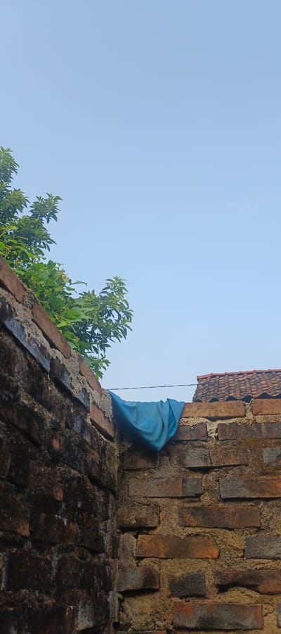 The image depicts an outdoor scene with a clear blue sky. In the foreground, a brick wall runs diagonally from the bottom left to the top right of the frame. This wall appears weathered and mossy in places. To the left of the wall, the lush green leaves of a tree are visible, extending into the upper left portion of the image.
Resting on top of the brick wall, in the central area of the image, is a piece of blue fabric. It is draped loosely over the wall, creating folds and shadows. Further to the right, another section of brick wall is visible, capped with terracotta roof tiles, indicating the presence of a building. A thin dark wire or line stretches horizontally across the middle of the image, connecting the two sections of the brick wall.
The scene is set within the city of Kemuning, Indonesia. The composition suggests a quiet, possibly residential, area with a focus on the textures of the brickwork, the natural elements of the tree, and the domestic detail of the blue fabric.
