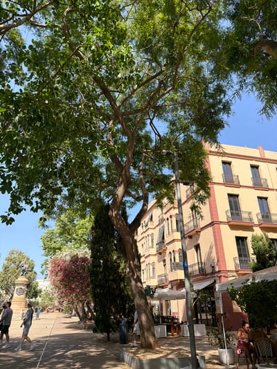 The image depicts a street scene in Eivissa, Spain. A large tree with lush green foliage dominates the foreground, its branches reaching towards a clear blue sky. Behind the tree, a multi-story building with a pale yellow facade and red accents is visible. The building has numerous windows, many with decorative metal grilles. A street lamp is positioned in front of the building.
Further down the street, several people are seen walking. One woman in a red dress is sitting at an outdoor table, appearing relaxed. Other individuals are casually dressed and seem to be strolling along the sidewalk. The street is paved, and shadows from the trees and buildings suggest it is daytime, likely late morning or early afternoon given the brightness and the angle of the shadows. The overall atmosphere appears to be pleasant and leisurely, indicative of a typical day in a European city. There are also signs and awnings visible, suggesting commercial establishments such as cafes or shops lining the street.