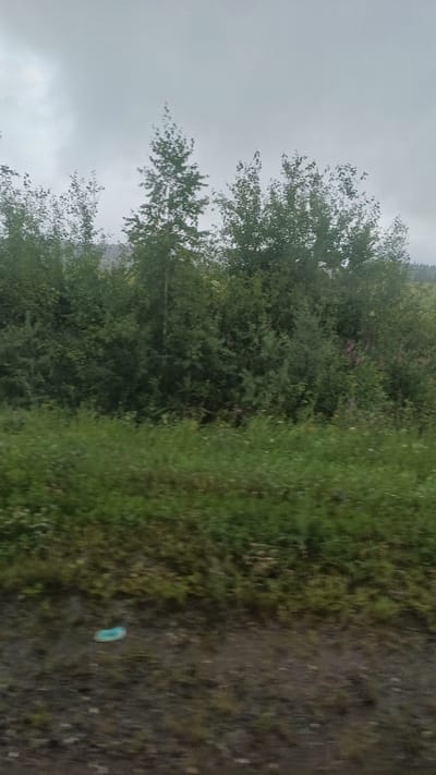 The image depicts a cloudy, overcast sky above a dense line of trees and vegetation. The foreground is a blur of green grass and dark earth, suggesting movement or a low-resolution capture. A small, light blue object, possibly litter, is visible on the ground in the lower part of the image. The scene appears to be a roadside view, common in rural or semi-rural areas. While the image itself does not contain explicit identifiers of Buranovo, Russia, such as landmarks or recognizable architecture, the prompt suggests this location. The environment is natural, with no people or man-made structures clearly visible other than the potential litter. The overall impression is one of a natural landscape under gloomy weather conditions.