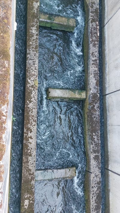 This is an aerial, close-up, top-down view of a water channel, likely part of an urban drainage system or a small canal, situated within the city of Namur, Belgium. The channel is constructed with concrete walls, some of which are weathered and covered in moss and algae, indicating exposure to the elements and moisture. Three rectangular concrete slabs are positioned across the width of the channel, serving as obstacles or steps for the flowing water. The water itself is dark and appears to be moving, with visible ripples and whitewater, suggesting a moderate flow rate. The surrounding environment is characterized by the rough texture of the concrete structures and the presence of some vegetation, particularly on the left bank. The overall impression is one of functional, utilitarian infrastructure within an urban setting.