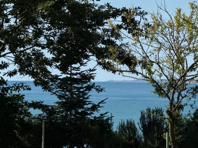 The image shows a view of the Durankulak Lake in Bulgaria, with trees in the foreground and a distant landmass visible on the horizon. The lake is calm and a light blue color, reflecting the clear sky above. The trees are lush and green, with a variety of shapes and sizes. Some of the trees are bare, with their branches reaching out towards the sky. The overall scene is peaceful and serene, conveying a sense of natural beauty.