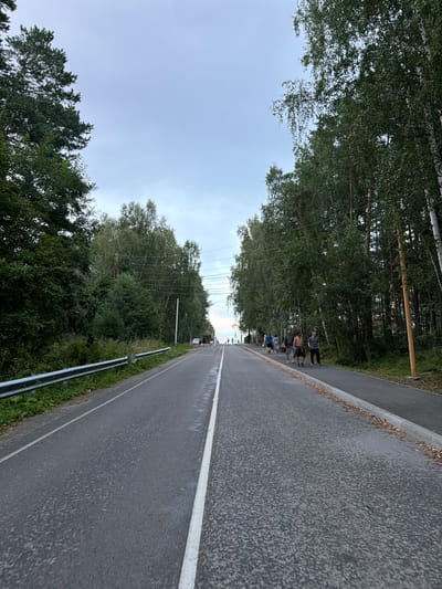 The image depicts a straight asphalt road with a white dividing line, flanked by dense green trees on both sides. On the right side of the road, there is a paved pedestrian walkway. A group of approximately six people are walking on the pedestrian walkway, moving away from the viewer and towards a distant, indistinct gathering or structure. The sky is overcast and pale. A metal guardrail is visible along the left side of the road. The scene appears to be in a semi-rural or park-like setting within the city of Zarechny, Russia, likely during the daytime given the lighting conditions.