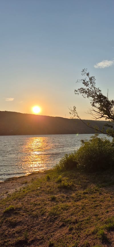 The image depicts a sunset over the Nistru River in Molovata Nouă, Moldova. The sun, a bright orb of light, is setting behind a silhouetted hill on the far bank of the river. Its golden rays reflect off the rippling water, creating a shimmering path. On the foreground bank, dry grass and some sparse green vegetation are visible. A tree branch with leaves extends into the frame from the right, silhouetted against the sky. The sky is a gradient of pale blue at the top, fading to a warm yellow near the horizon, with a few wispy clouds present. The scene is tranquil and natural, with no people or man-made structures prominently featured, except for a distant, faint tower-like structure on the far hill.