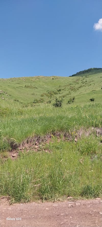 The image depicts a lush, green hillside under a clear blue sky with a single white cloud visible. The terrain is gently sloping, covered in dense grass and scattered rocks. Several small bushes and patches of darker vegetation are interspersed across the hillside. The foreground features a rough, reddish-brown dirt path. The scene appears to be a natural, undeveloped landscape, consistent with the rural or mountainous areas surrounding Karbi, Armenia. There are no people, animals, or man-made structures other than a watermark that reads "Galaxy A23" in the bottom left corner.
