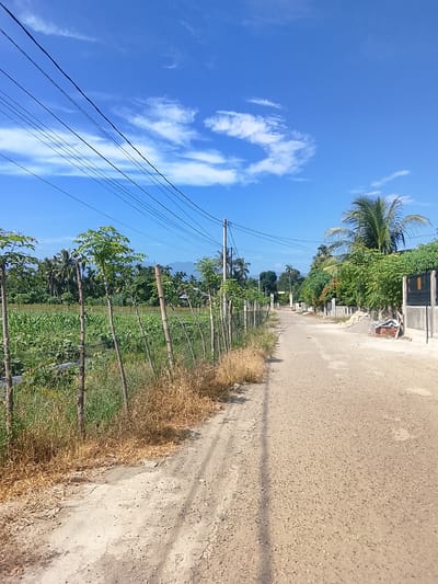 The image shows a dirt road in Geuleudah, Indonesia, on a clear day with a blue sky and scattered clouds. On the left side of the road, there is a cultivated field bordered by a fence made of thin wooden poles and wire. Young trees with green leaves are planted along the fence line. Beyond the field, there is a dense line of palm trees and other lush green vegetation, with a mountain range visible in the distance. On the right side of the road, there are houses and fences. One fence is made of a dark material, possibly metal, and is attached to concrete posts. Another section shows a low concrete wall with some construction materials, including bricks and sand, piled up next to it. Utility poles with multiple black wires strung between them run along both sides of the road. The road itself is made of light-colored gravel and dirt, with shadows cast by the utility poles. The overall scene depicts a rural or semi-rural environment in Indonesia.