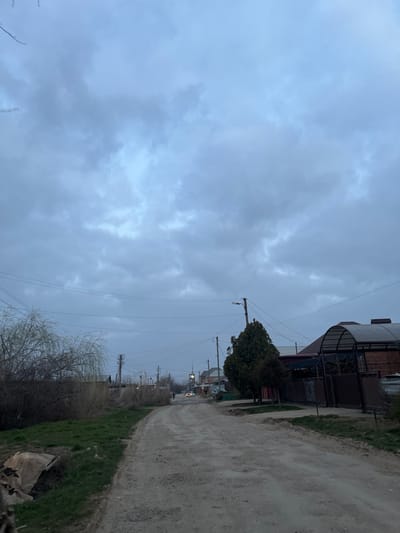 The image depicts a residential street in Enem, Russia, under a uniformly overcast, light grey to bluish-grey sky. A wide, unpaved dirt road, marked with tire tracks, extends from the foreground into the distance, slightly curving left. Along the left side of the road, sparse, dry vegetation and bare-branched deciduous trees are visible, behind which utility poles with overhead wires run parallel to the road. Further in the distance on the left, an individual is observed walking near a white vehicle. On the right side of the road, a dark fence borders a property with two small evergreen shrubs and a taller, larger evergreen tree. A street light pole is positioned near the large evergreen tree. Beyond the trees, a brick house with a dark roof and an attached carport-like structure featuring a translucent corrugated roof is visible. A white car with illuminated headlights is present further down the road on the right.