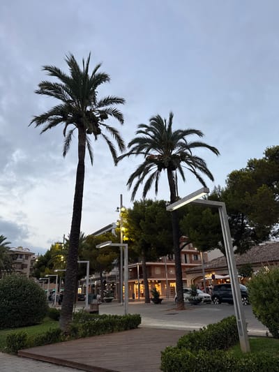 In the city of Port D'alcúdia, Spain, this image captures a street scene dominated by tall palm trees and lush greenery. The sky is overcast, suggesting either early morning or late evening. Modern streetlights with horizontal luminous elements are prominent, illuminating the paved walkway and the street lined with shops and buildings. Several cars are parked along the street. In the foreground, a wooden deck and manicured bushes create a defined area. A few people are visible in the background, walking along the sidewalk and sitting at tables outside businesses. The architecture of the buildings appears to be a mix of traditional and modern styles, with balconies and storefronts. The overall atmosphere is calm and tranquil, characteristic of a European town.