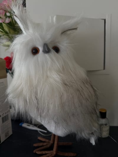 An indoor shot shows a fluffy white owl figurine with brown eyes and a gray beak. The owl is positioned in the center of the frame, with its body taking up most of the space. Its feathers are long and wispy, giving it a soft appearance. To the left of the owl, a part of a box is visible, and a digital thermometer with a blue tip lies on the surface in front of the figurine. To the right of the owl, a small glass bottle with a gold cap and a label that reads "L'Ame" is present. The background consists of a plain white wall with a vertical dark line, suggesting a doorframe or a partition. The overall scene appears to be a tabletop or shelf in a home environment. The location is not specified in the image or context.